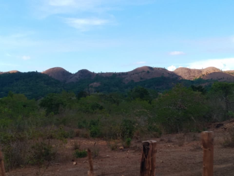 Farm Lot for sale in Cheey, Busuanga Palawan