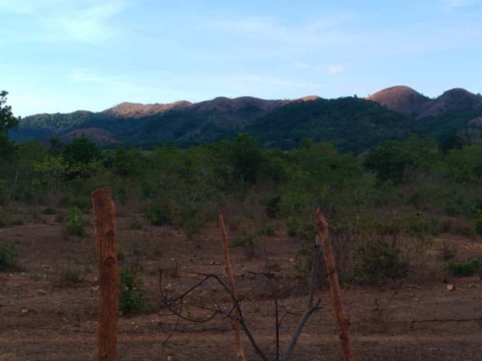 Farm Lot for sale in Cheey, Busuanga Palawan