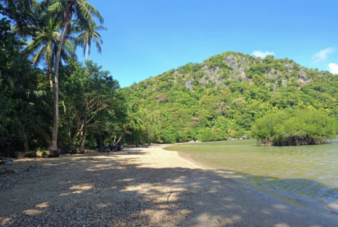 Buy Private Island Cheey Coron Palawan Philippines